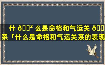 什 🌲 么是命格和气运关 🐎 系「什么是命格和气运关系的表现」